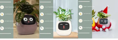 Smart Planter