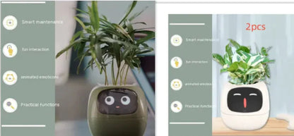 Smart Planter