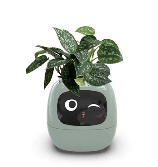 Smart Planter