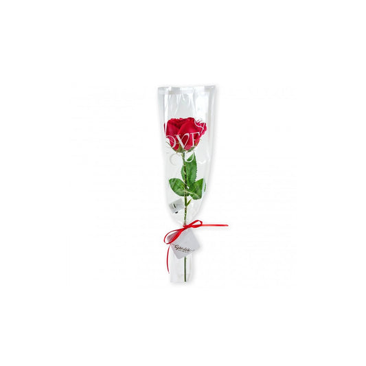 Soap rose with red LED lighting 40cm