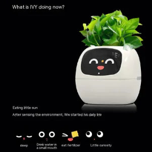 Smart Planter