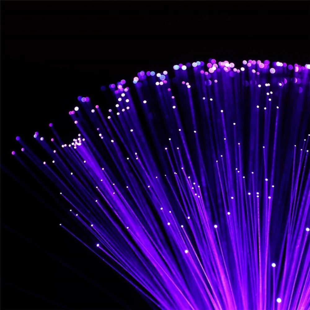 LED fiber optic lamp