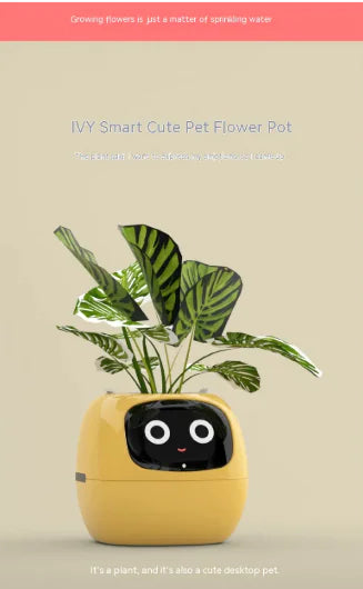 Smart Planter