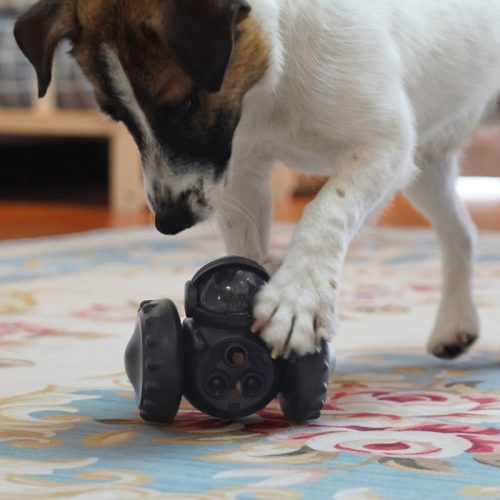 Interaktives Hundespielzeug für langsames Fressen 