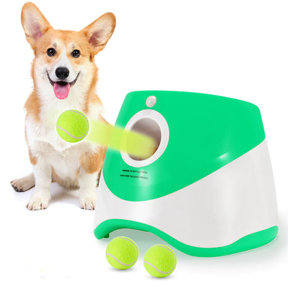 Automatic dog tennis ball launcher 