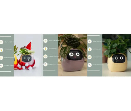 Smart Planter