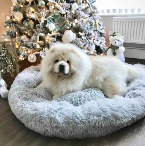 Plush, furry bed for pets 