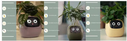 Smart Planter