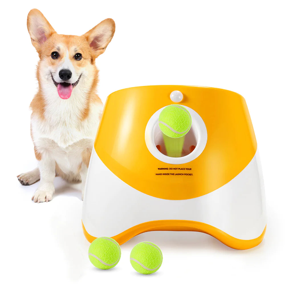 Automatic dog tennis ball launcher 