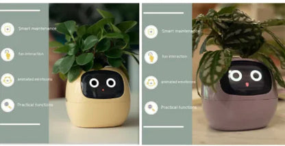 Smart Planter