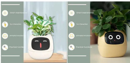 Smart Planter