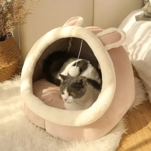 Cat bed, cat bed 