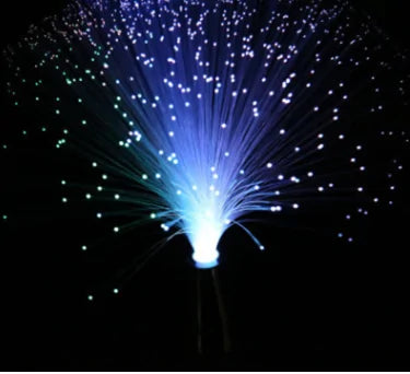 LED fiber optic lamp